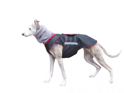 greyhound_dog_jacket_5feher.jpg